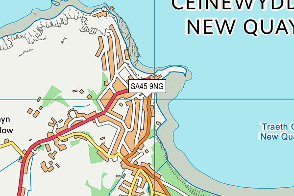 SA45 9NG map - OS VectorMap District (Ordnance Survey)