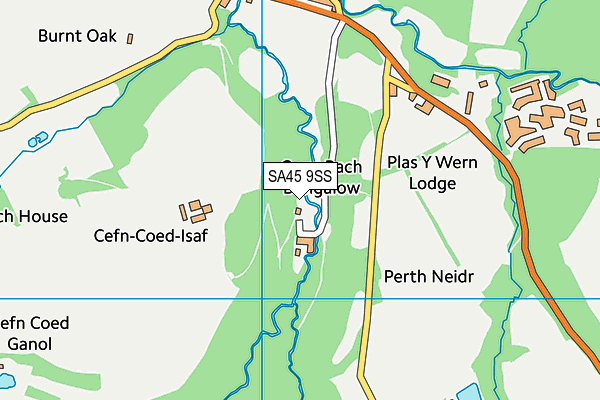 SA45 9SS map - OS VectorMap District (Ordnance Survey)