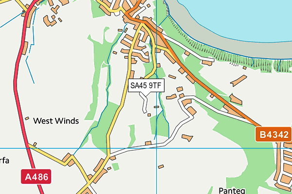 SA45 9TF map - OS VectorMap District (Ordnance Survey)