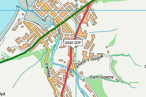 SA46 0DP map - OS VectorMap District (Ordnance Survey)