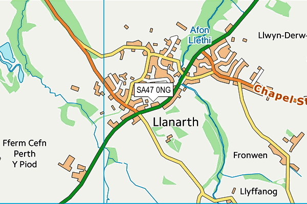 SA47 0NG map - OS VectorMap District (Ordnance Survey)