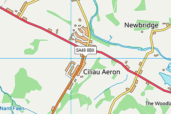 Ysgol Ciliau Parc map (SA48 8BX) - OS VectorMap District (Ordnance Survey)