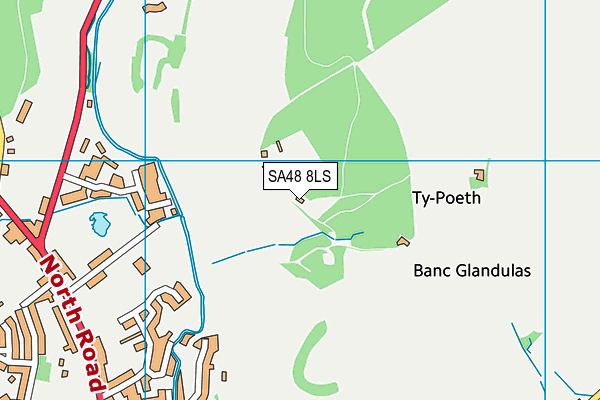 SA48 8LS map - OS VectorMap District (Ordnance Survey)