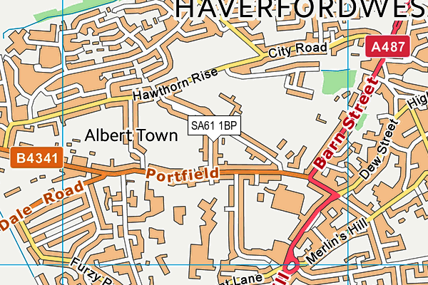 SA61 1BP map - OS VectorMap District (Ordnance Survey)