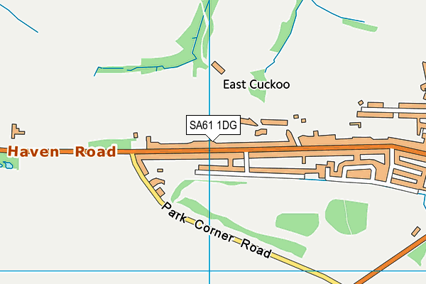 SA61 1DG map - OS VectorMap District (Ordnance Survey)