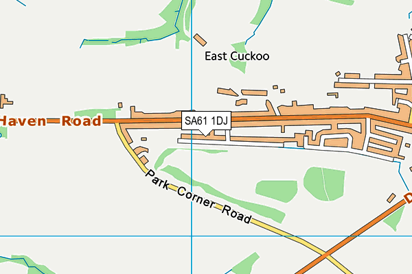 SA61 1DJ map - OS VectorMap District (Ordnance Survey)
