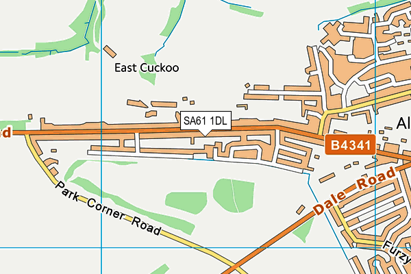 SA61 1DL map - OS VectorMap District (Ordnance Survey)