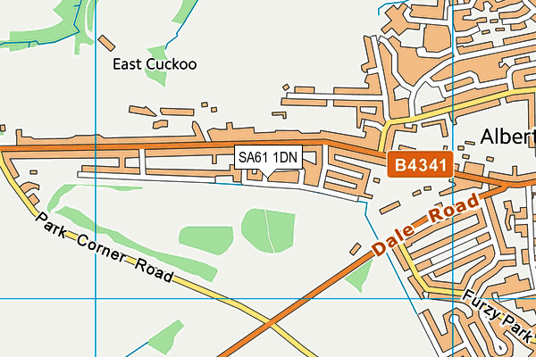 SA61 1DN map - OS VectorMap District (Ordnance Survey)
