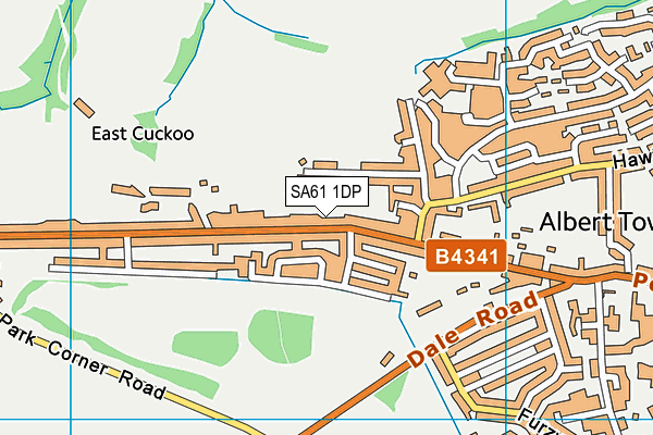 SA61 1DP map - OS VectorMap District (Ordnance Survey)