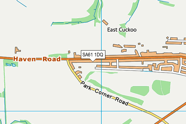 SA61 1DQ map - OS VectorMap District (Ordnance Survey)