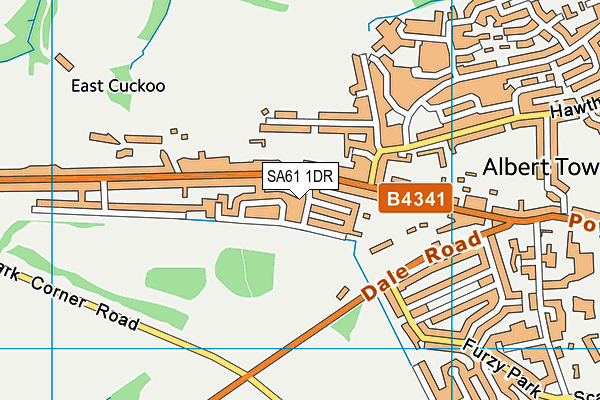 SA61 1DR map - OS VectorMap District (Ordnance Survey)