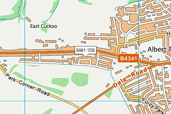 SA61 1DS map - OS VectorMap District (Ordnance Survey)