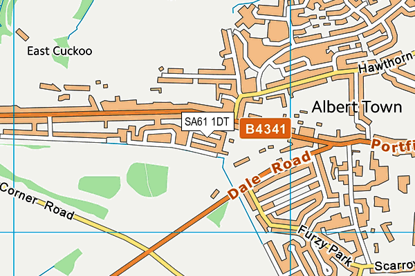 SA61 1DT map - OS VectorMap District (Ordnance Survey)