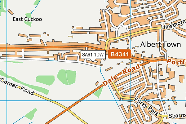 SA61 1DW map - OS VectorMap District (Ordnance Survey)