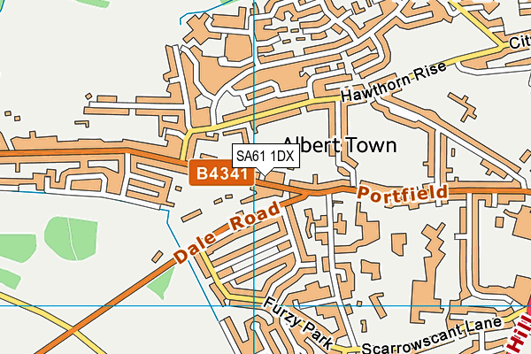 SA61 1DX map - OS VectorMap District (Ordnance Survey)