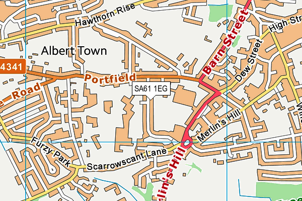 SA61 1EG map - OS VectorMap District (Ordnance Survey)