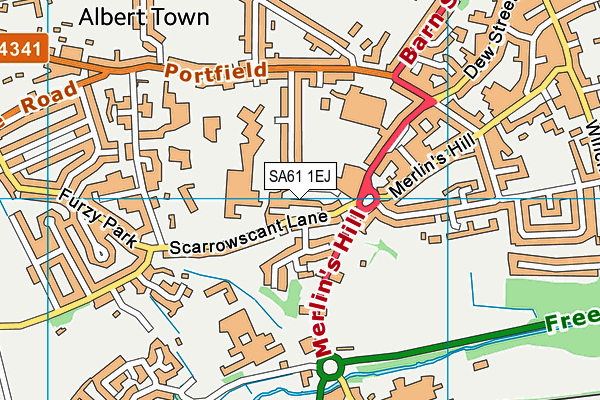 SA61 1EJ map - OS VectorMap District (Ordnance Survey)