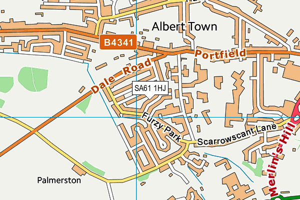 SA61 1HJ map - OS VectorMap District (Ordnance Survey)