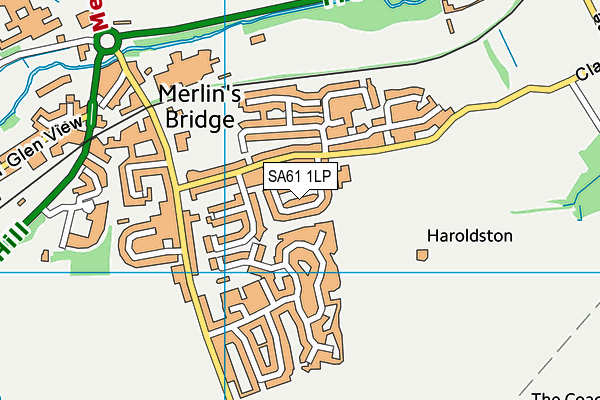 SA61 1LP map - OS VectorMap District (Ordnance Survey)