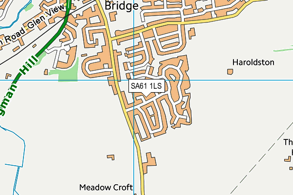 SA61 1LS map - OS VectorMap District (Ordnance Survey)