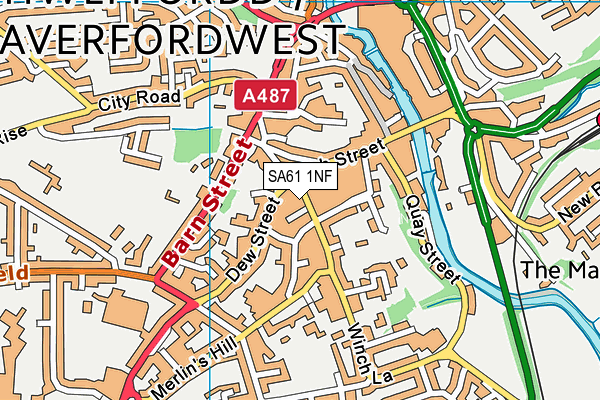 SA61 1NF map - OS VectorMap District (Ordnance Survey)