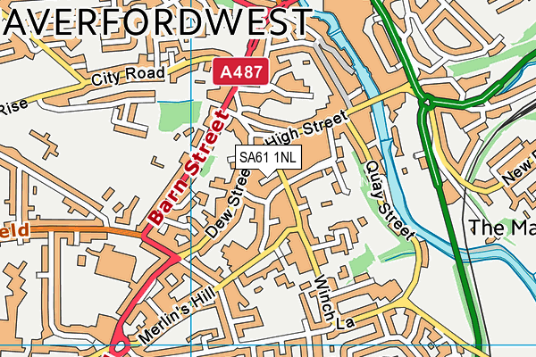 SA61 1NL map - OS VectorMap District (Ordnance Survey)