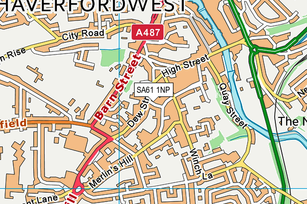 SA61 1NP map - OS VectorMap District (Ordnance Survey)