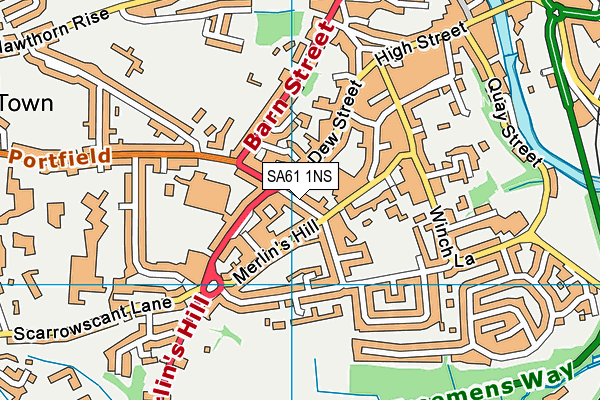 SA61 1NS map - OS VectorMap District (Ordnance Survey)