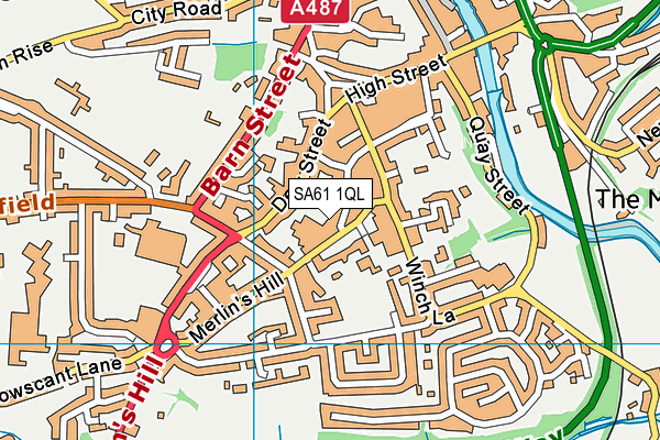 SA61 1QL map - OS VectorMap District (Ordnance Survey)