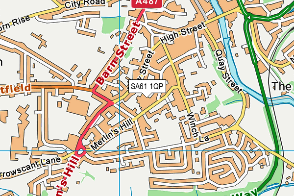 SA61 1QP map - OS VectorMap District (Ordnance Survey)