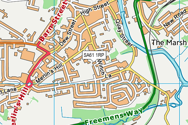 SA61 1RP map - OS VectorMap District (Ordnance Survey)