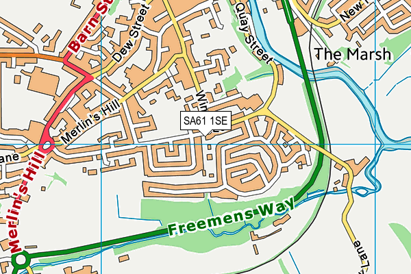 SA61 1SE map - OS VectorMap District (Ordnance Survey)