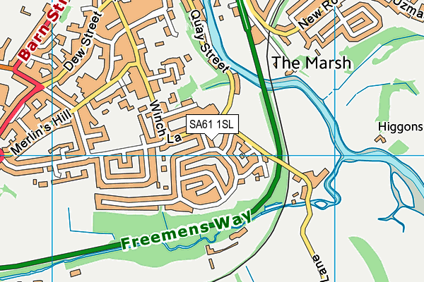 SA61 1SL map - OS VectorMap District (Ordnance Survey)