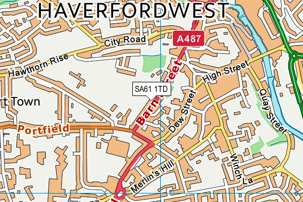 SA61 1TD map - OS VectorMap District (Ordnance Survey)