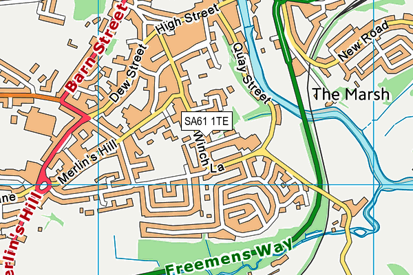 SA61 1TE map - OS VectorMap District (Ordnance Survey)