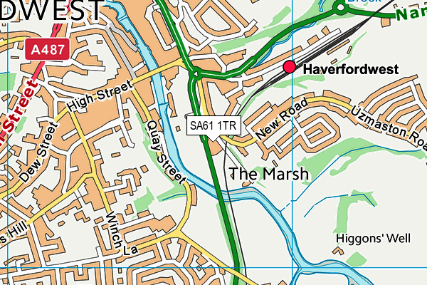 SA61 1TR map - OS VectorMap District (Ordnance Survey)