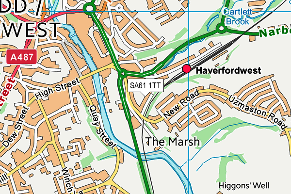 SA61 1TT map - OS VectorMap District (Ordnance Survey)