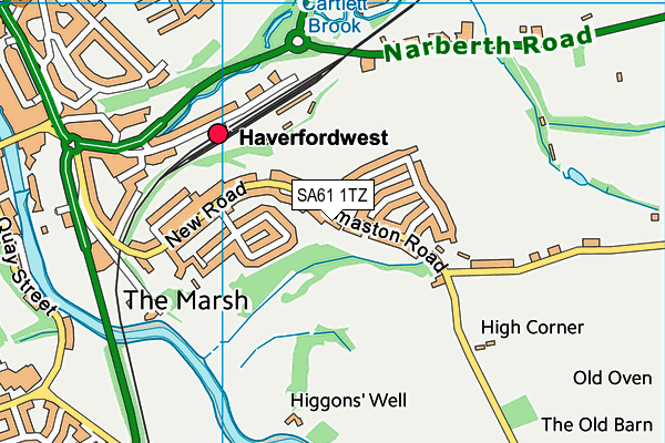 SA61 1TZ map - OS VectorMap District (Ordnance Survey)