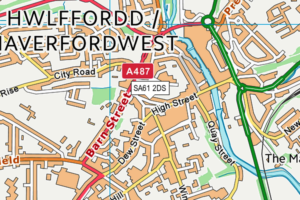 SA61 2DS map - OS VectorMap District (Ordnance Survey)