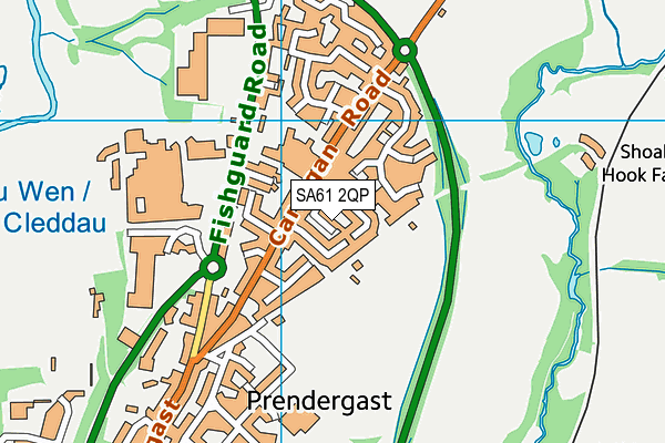 SA61 2QP map - OS VectorMap District (Ordnance Survey)
