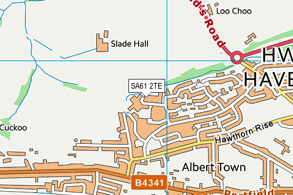 SA61 2TE map - OS VectorMap District (Ordnance Survey)