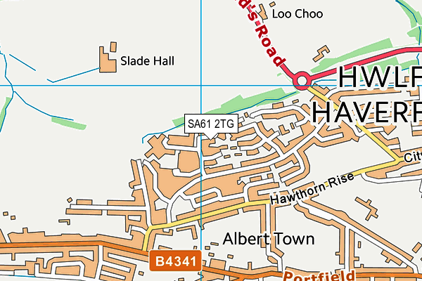 SA61 2TG map - OS VectorMap District (Ordnance Survey)