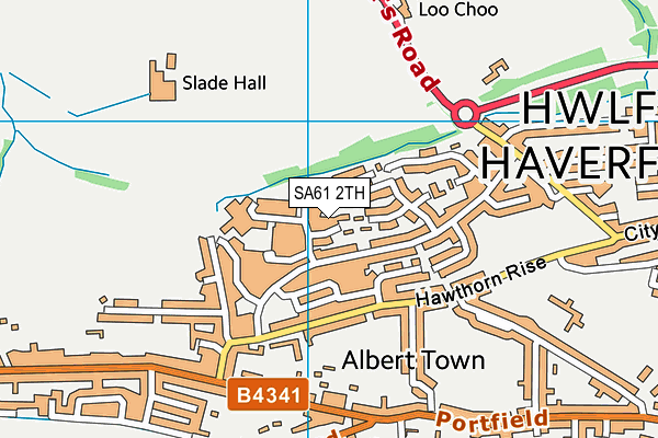 SA61 2TH map - OS VectorMap District (Ordnance Survey)