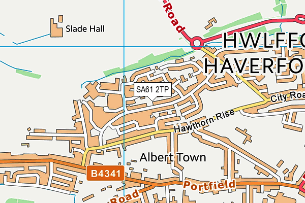 SA61 2TP map - OS VectorMap District (Ordnance Survey)