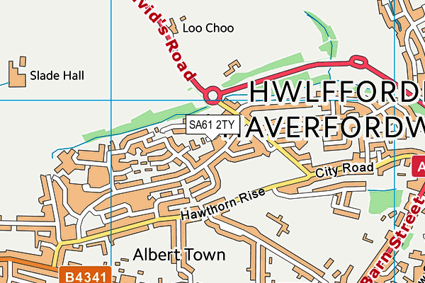 SA61 2TY map - OS VectorMap District (Ordnance Survey)