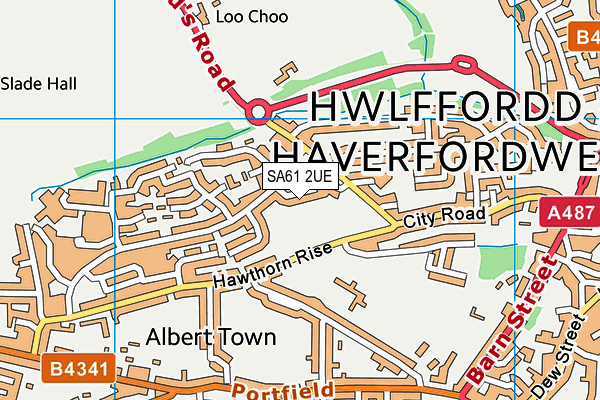 SA61 2UE map - OS VectorMap District (Ordnance Survey)