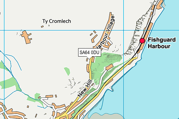 SA64 0DU map - OS VectorMap District (Ordnance Survey)