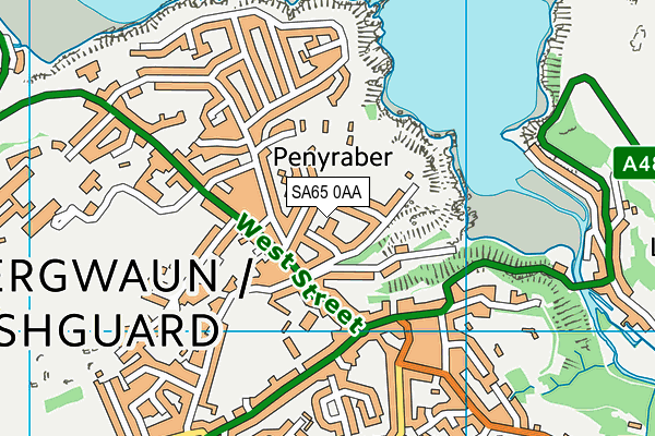 SA65 0AA map - OS VectorMap District (Ordnance Survey)