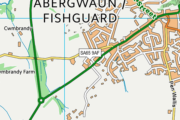 SA65 9AF map - OS VectorMap District (Ordnance Survey)