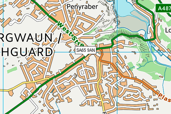 SA65 9AN map - OS VectorMap District (Ordnance Survey)